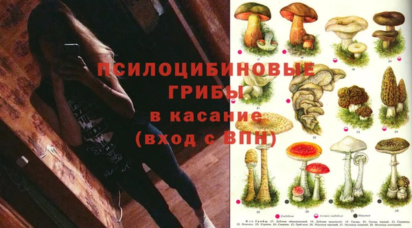 соль курить ск Богородицк
