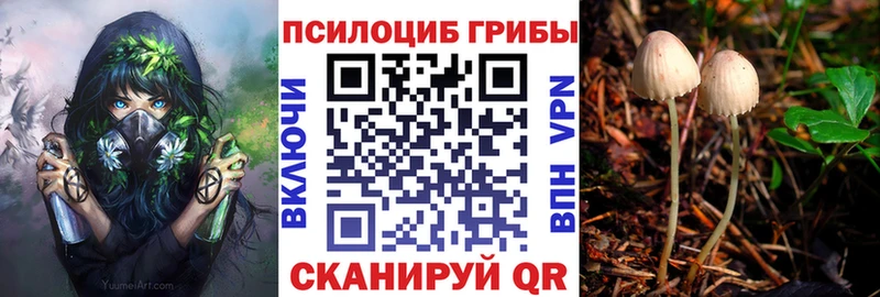 Купить закладки  Заволжск  Псилоцибиновые грибы ЛСД 